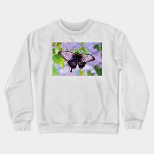 beautiful green butterfly Crewneck Sweatshirt